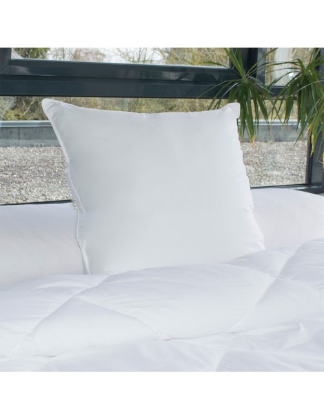 Oreiller blanc sensation duvet ferme 50x70 cm TEX HOME : l